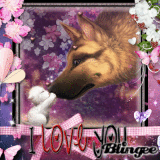 Cute Love