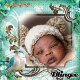 baby's bird pet 