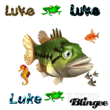 luckyluke6 luckyluke6