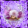 purple love purple love