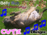 Rub my Belly