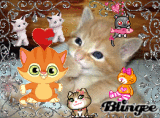 Gatitos