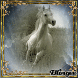 Caballo Blanco (ymialma)