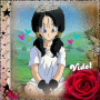 Videl