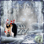 Fun with Penguins: by Maddi Fun with Penguins: by Maddi