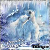 Winter Snow - Polar Bears