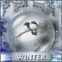 winter birds