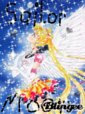 sailor moon