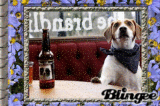 biere pour chien
