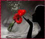 Valentine's Day