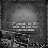 Il 27 gennaio del 1945 i cancelli di Auschwitz furono abbattuti; Read the description;