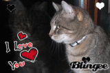 Timmy ♥