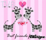 BEST FRIENDS FOREVER