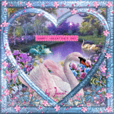 Valentine swans.