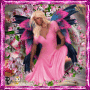 Fairy Fairy