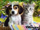 best friend