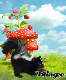 Animated Picture