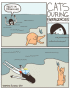 CATS during emergencies