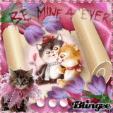 loving cats