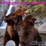 blingee rocks 