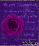 Wichtige Augenblicke