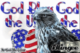 God Bless The USA