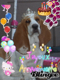 Happy Birthday Galak