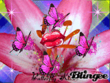 Butterfly Kisses