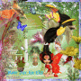   ROSE ARC EN CIEL »       Exceptionnel : Les oiseaux du Paradis 