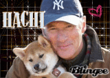 Hachiko il tuo migliore amico