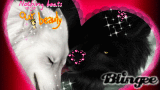Wolfpassion
