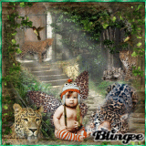 baby leopard elf watcher