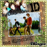 One Direction 2