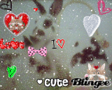 bunny love