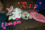 Rip Fozzy..