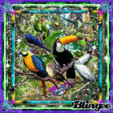 Exotic Birds And all that sparkles.