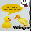 Ducks