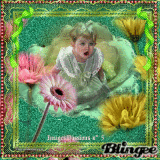 IMAGESPASSIONS / Portrait no 5 " OOPS JE ATTERIS DANS UNE ROSE "