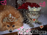 Best friends