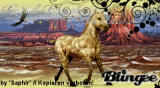 Mein Element, Grand Canion