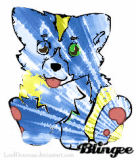 sky (my puppy) 