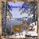 Winter's Bliss