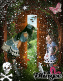 alice vs alice