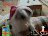 un amour de père noël