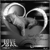 Good Night my Friend.Kitty