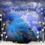 Winter Bird