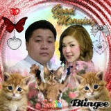 good morning cats
