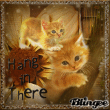 Hang In There  With All That Sparkles