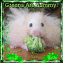 Hammy says, "Greens are yummy!"