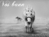 Vos bann'